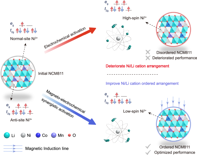 Fig. 1: The proposed mechanism of the magneto-electrochemical synergistic activation (MEA) in the graphite||NCM811 battery.