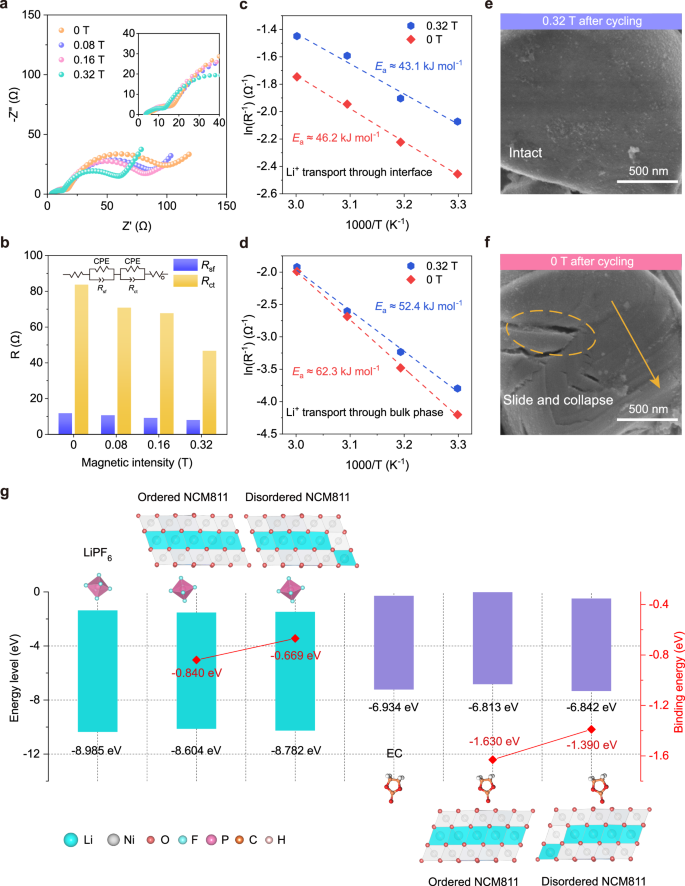 Fig. 6: Characterization and formation mechanism of CEI in the graphite||NCM811 full battery.