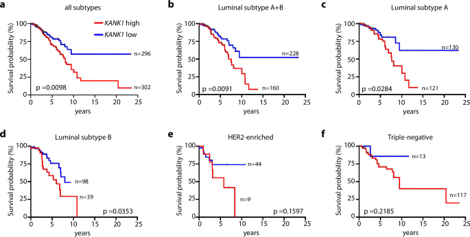 Fig. 1: Correlation of KANK1 gene expression with overall survival in human breast cancer.