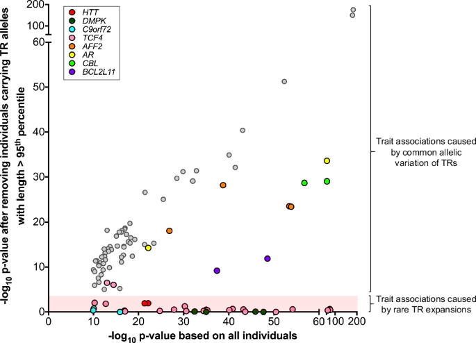 Fig. 2: Novel TR associations are driven by common allelic variation rather than rare expansions.