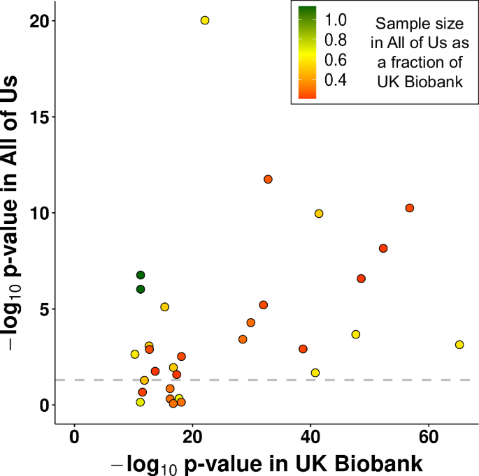 Fig. 5: Replication analysis in the All of Us cohort.