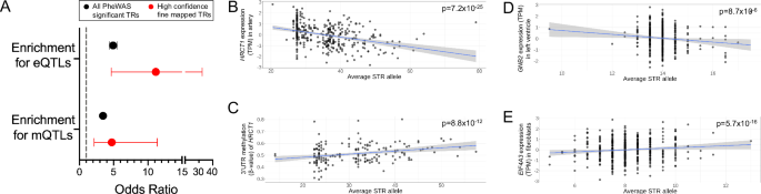Fig. 6: Length variation of fine-mapped TRs associates with local gene expression and DNA methylation.