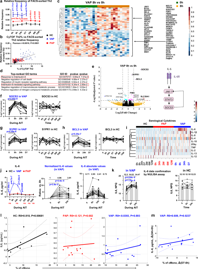 Fig. 5: Th2-cell-type-specific RNA-seq analysis reveals a pulse of IL-6 signaling at 8 h following AIT launch in VAP.