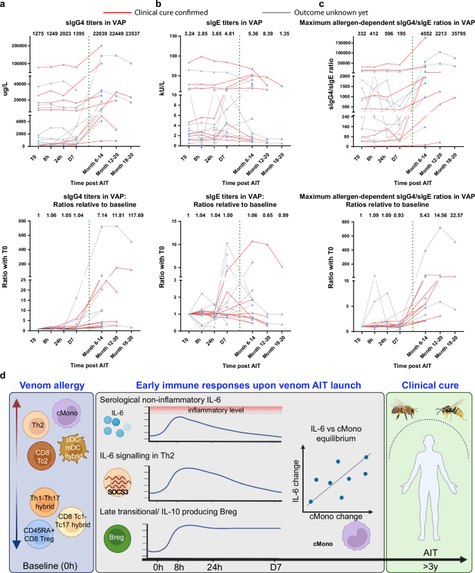 Fig. 6: AIT induces varying sIgG4 responses in VAP.