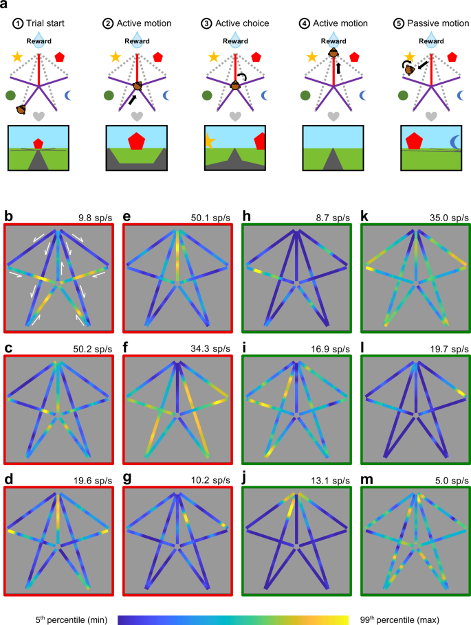 Organizing space through saccades and fixations between primate posterior parietal cortex and hippocampus | Nature Communications organizing-space-through-saccades-and-fixations-between-primate-posterior-parietal-cortex-and-hippocampus-nature-communications