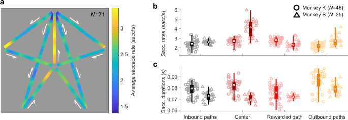 Fig. 2: Monkeys’ saccadic behavior.