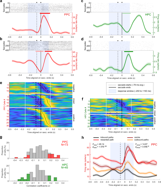 Fig. 3: Saccade-related activities in posterior parietal and hippocampal neurons.