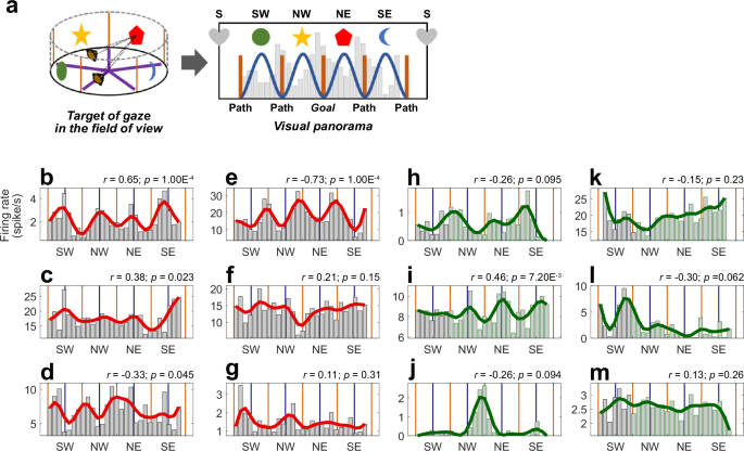 Fig. 4: Single-units’ activity as a function of the point of gaze.