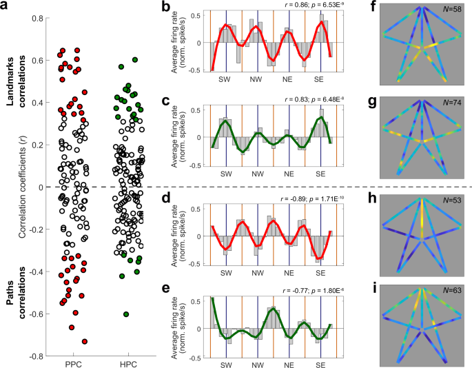Fig. 5: Linking place and view in the posterior parietal cortex and the hippocampus.