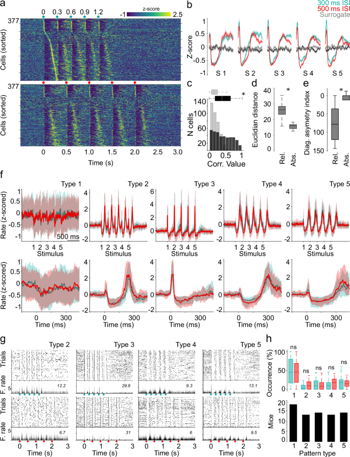 Fig. 2: VL/VM responses can be classified into distinct M1-evoked patterns.