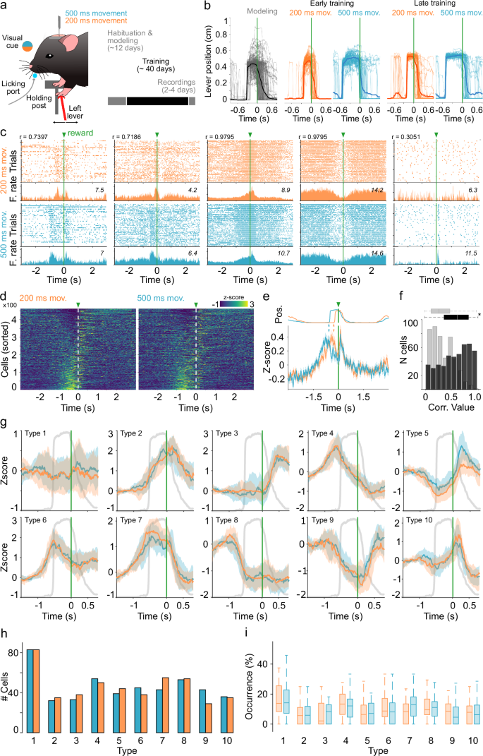 Fig. 4: Thalamic signals during movement execution.