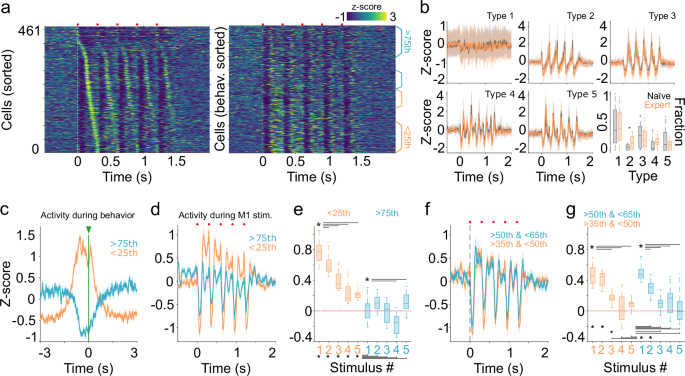 Fig. 5: Stereotypical thalamic patterns constrain movement-related activity.