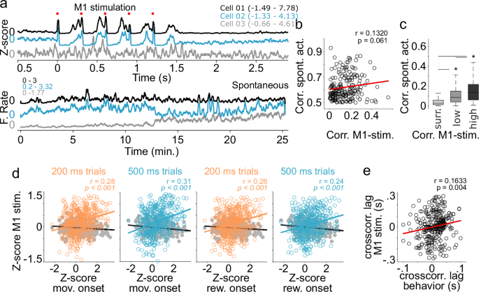 Fig. 6: Stereotypical evoked thalamic patterns and spontaneous activity.