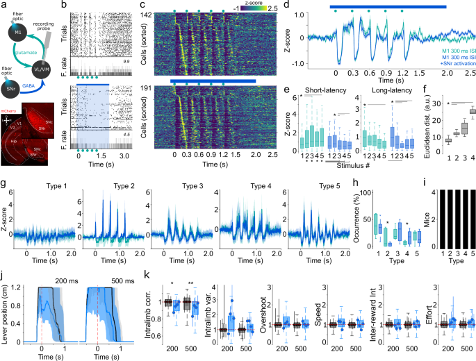 Fig. 7: Nigral modulation of thalamic preconfigured patterns and forelimb movements.