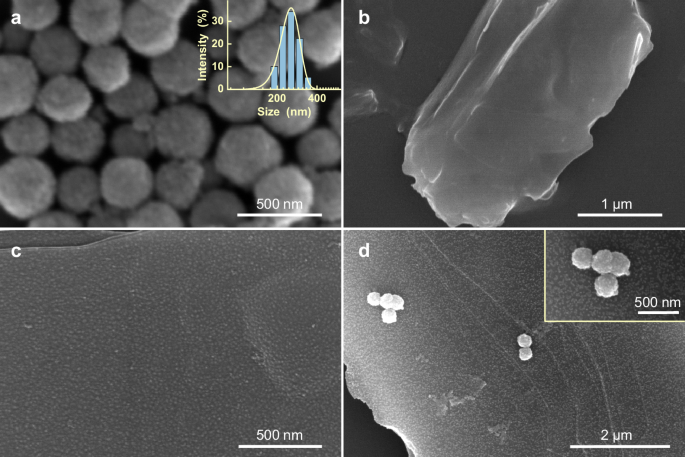 Fig. 2: Microscopic morphology characterization of nanomaterials.