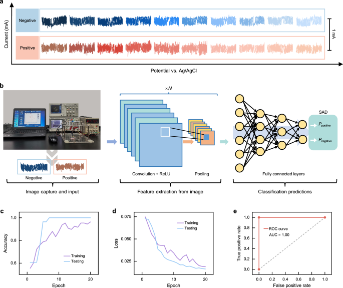 Fig. 5: Deep learning-assisted single-atom detection of copper ions.