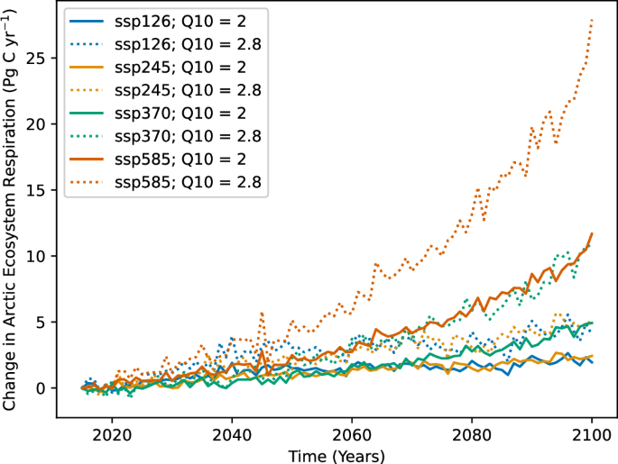 Fig. 5: The effect of respiration temperature sensitivity on pan-Arctic ecosystem respiration over the 21st century.