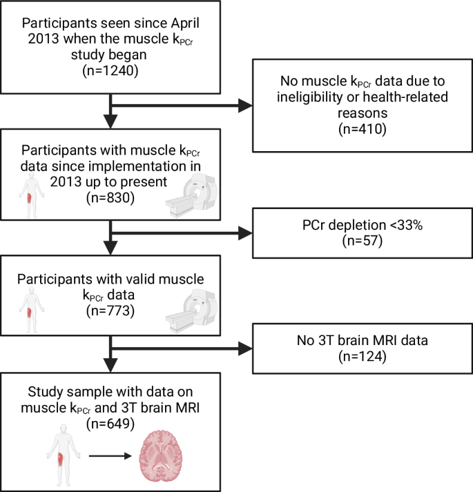 Fig. 1: Flow chart of the selection of study sample.