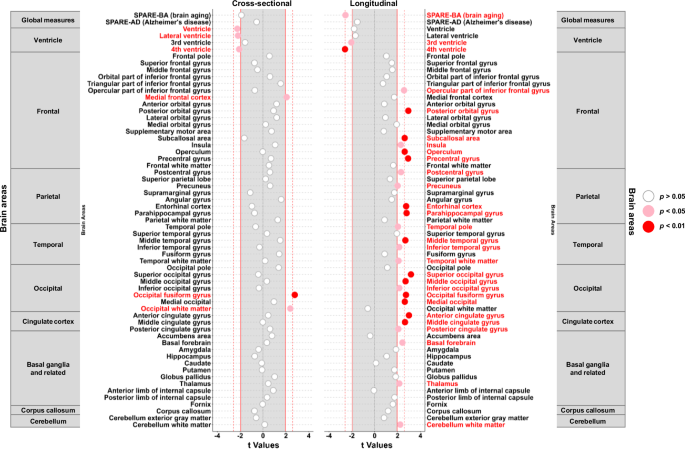 Fig. 2: Dot plots for associations between skeletal muscle oxidative capacity and brain volumetric measures via magnetic resonance imaging (MRI) (n = 649).