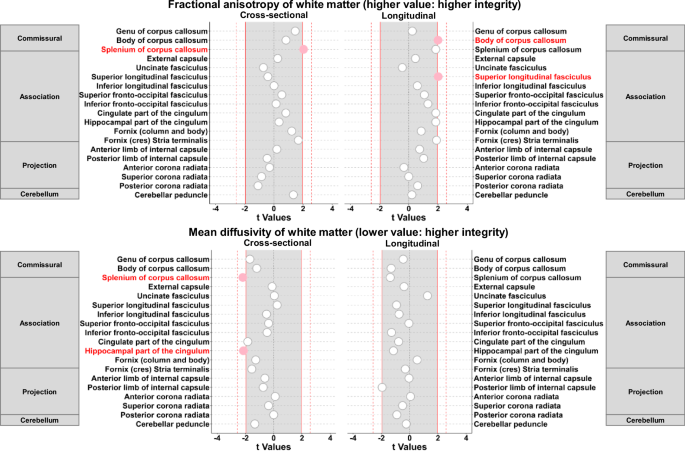 Fig. 3: Dot plots for associations between skeletal muscle oxidative capacity and white matter diffusion tensor imaging (DTI) measures of fractional anisotropy (FA) and mean diffusivity (MD) (n = 639).