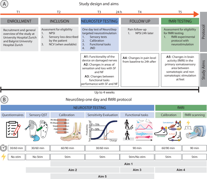 Fig. 7: Study design.