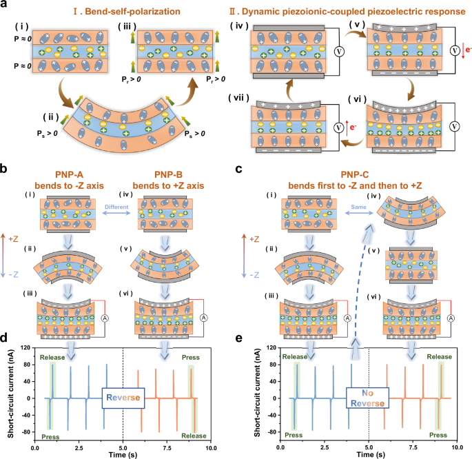 Fig. 2: The unique piezo-ionic-electric working mechanism of the PNP electronics and its verification.
