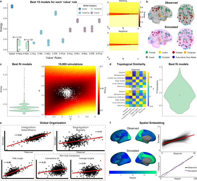 Fig. 4: A generative network model of neonatal networks.