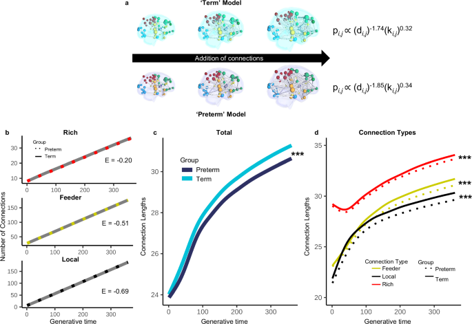 Fig. 6: Term and preterm representative models.