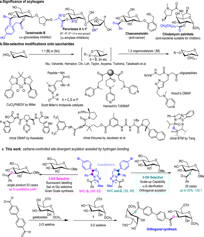 Fig. 1: Overview of site-selective acylation on sugars.