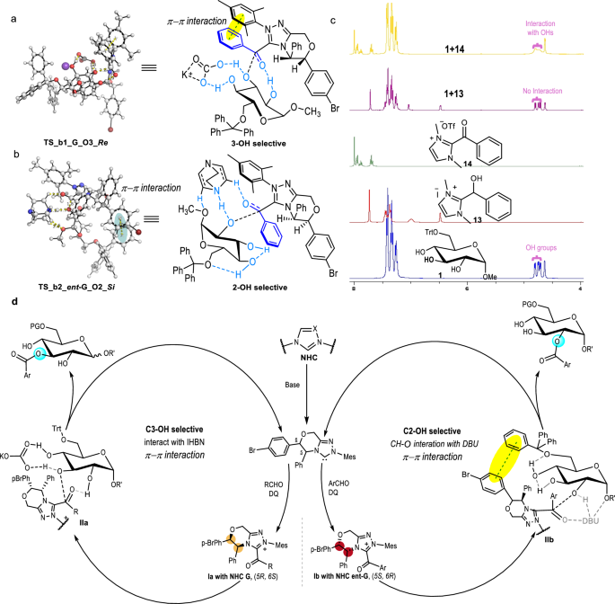 Fig. 4: Mechanistic Investigation and proposed reaction pathway.
