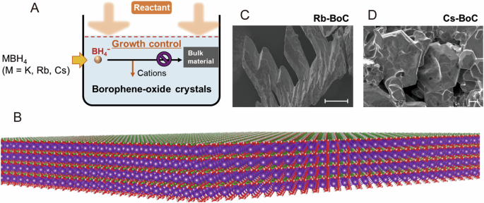 Fig. 1: Synthesis of borophene oxide layers with metal cations.
