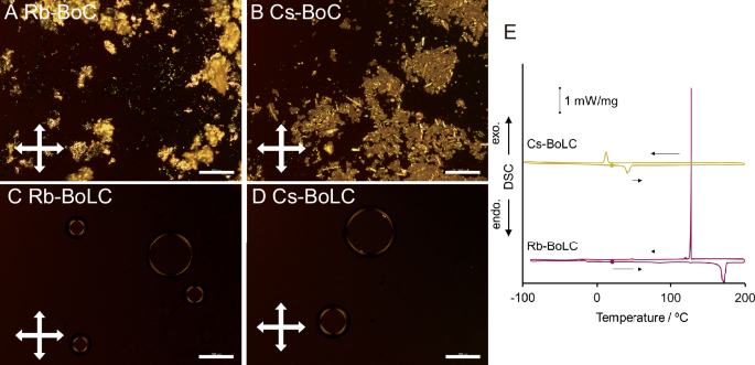 Fig. 3: Liquid crystalline features of M-BoLCs (M = Rb, Cs).
