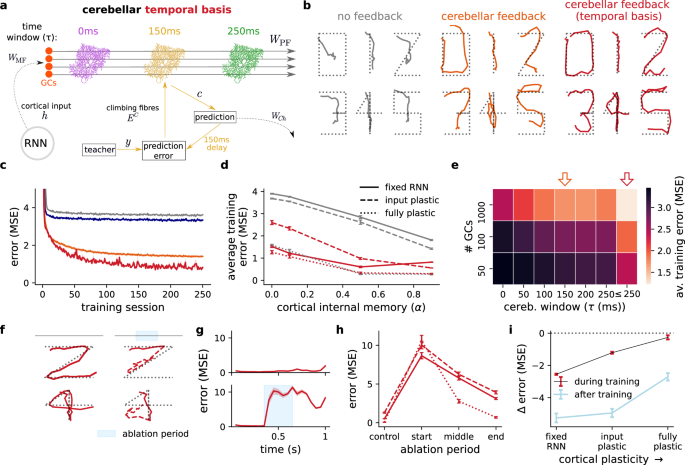 Fig. 4: Cerebellar temporal basis supports cortical dynamics of a non-linear digit drawing task.