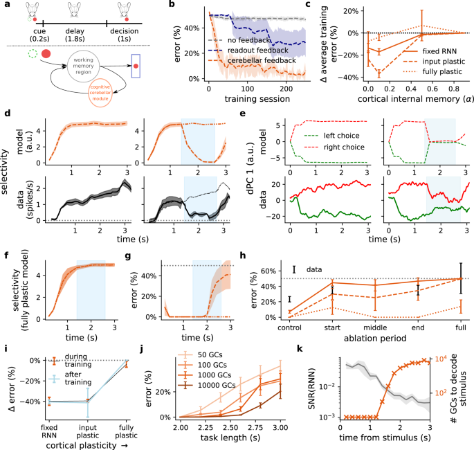 Fig. 6: Cerebellar network sustains cortical dynamics during delayed association task in line with optogenetic experiments.