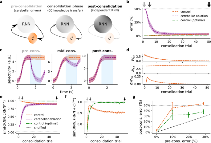 Fig. 7: Cerebellum can mediate task consolidation in the cortex.