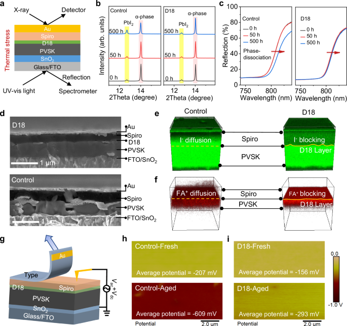 Fig. 2: Stabilization effect of the D18 membrane on perovskite and perovskite/HTL heterostructures.