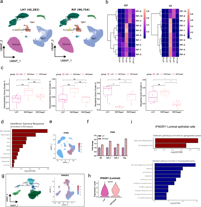 Fig. 6: Pathological endometrial characteristics of RIF patients at WOI.