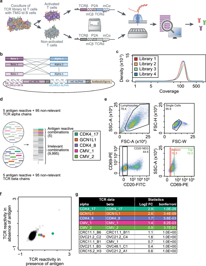 Enabling next-generation engineered TCR-T therapies based on high ...