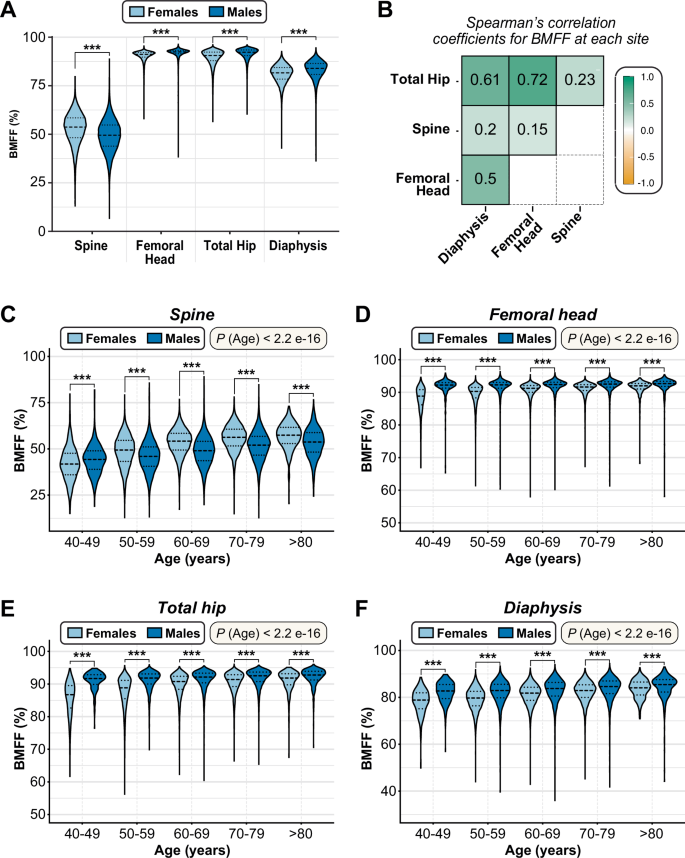 Fig. 2: BMFF comparison between age and sex in four bone regions.