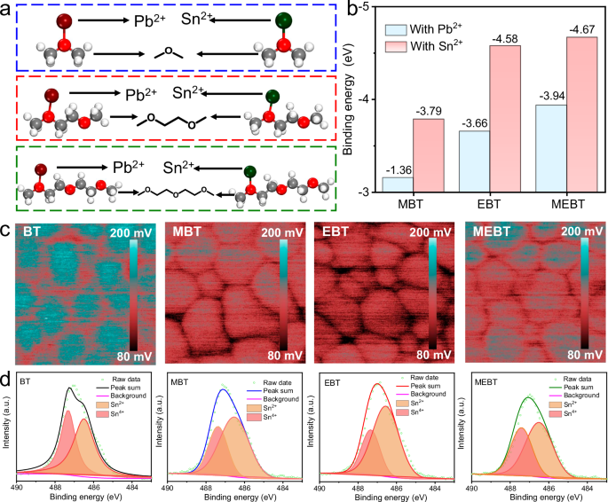 Fig. 3: DFT calculations and characterizations of LBG Sn-Pb perovskite films.