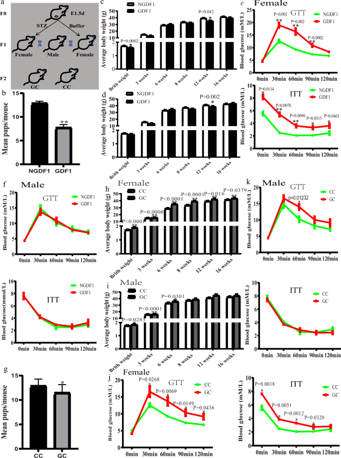 Fig. 1: Effects of GDM on offspring metabolism.