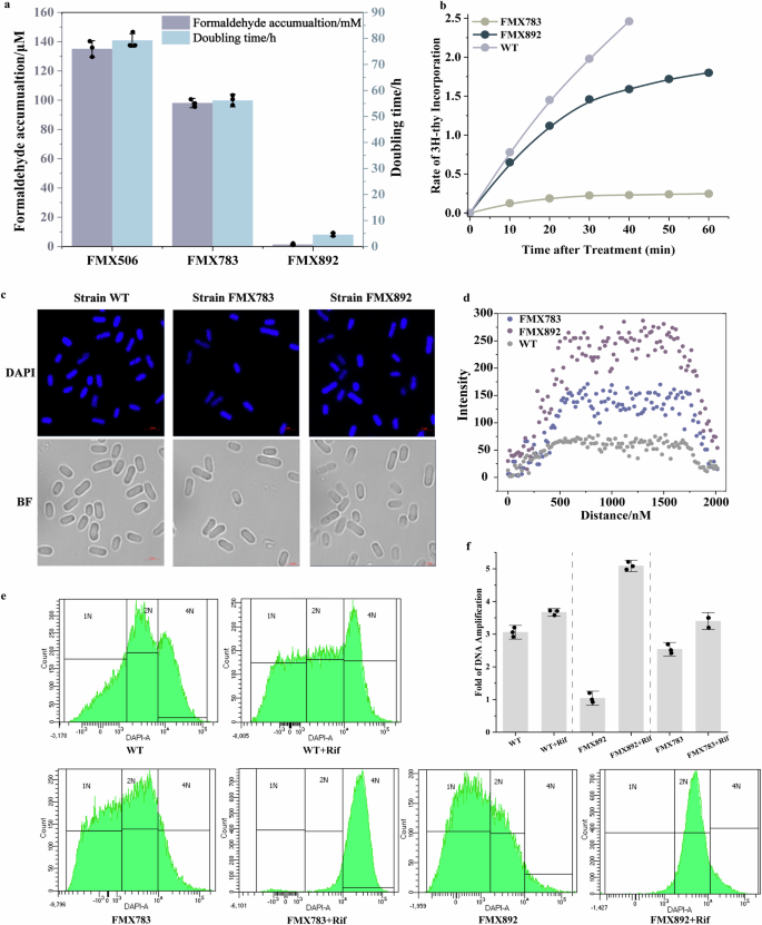 Fig. 4: TRCs prolong doubling times in synthetic methylotrophs.