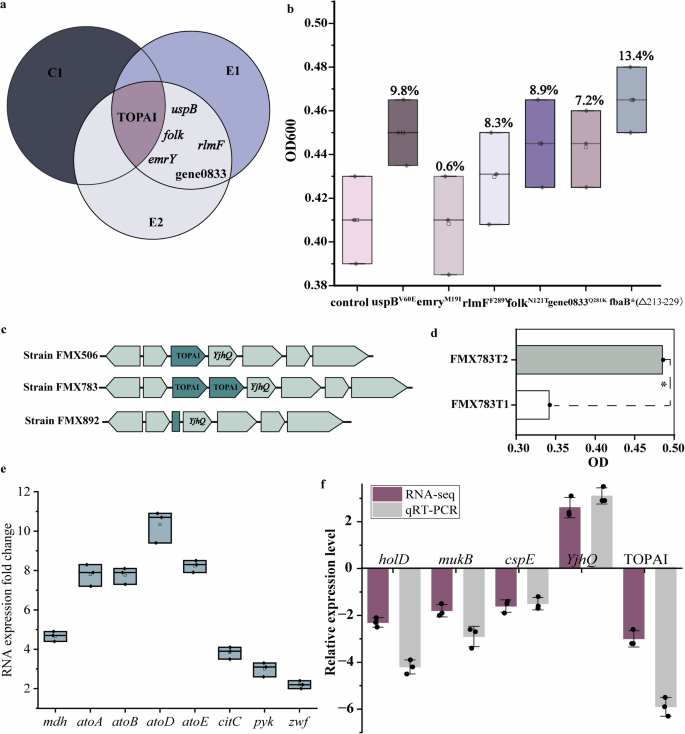 Fig. 7: Genomic and transcriptome sequencing analysis of synthetic methylotrophs.