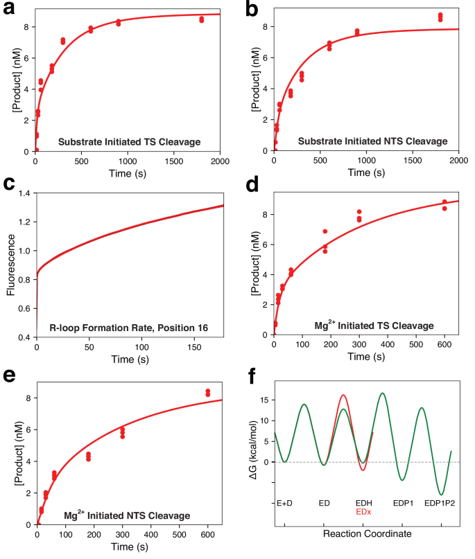Fig. 6: Kinetic characterization of Cas9d reveals an inactive conformation.