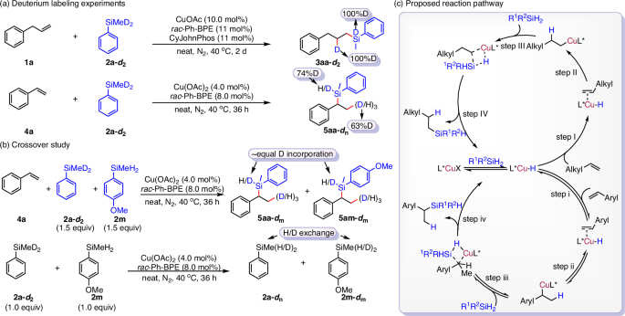 Fig. 5: Mechanistic studies and proposed reaction pathway.
