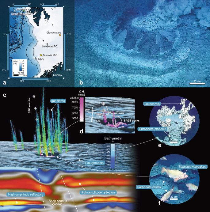 Fig. 1: Overview and observations of Borealis mud volcano.