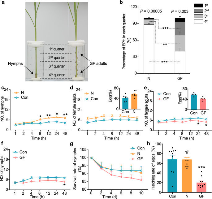 Fig. 3: Pre-infestation by BPH nymphs and gravid adult females affected subsequent BPH performance differently.
