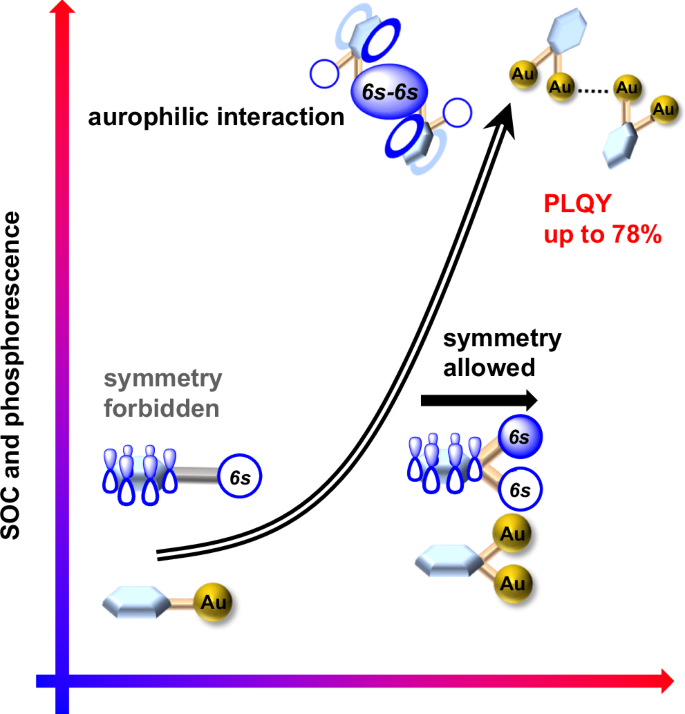 Aurophilic interaction-based aggregation of gem-digold(I) aryls 
