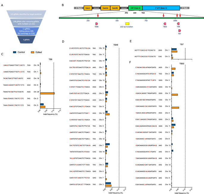 Fig. 1: Screening, location, and off-target analysis of optimal CCR5-targeting gRNAs.