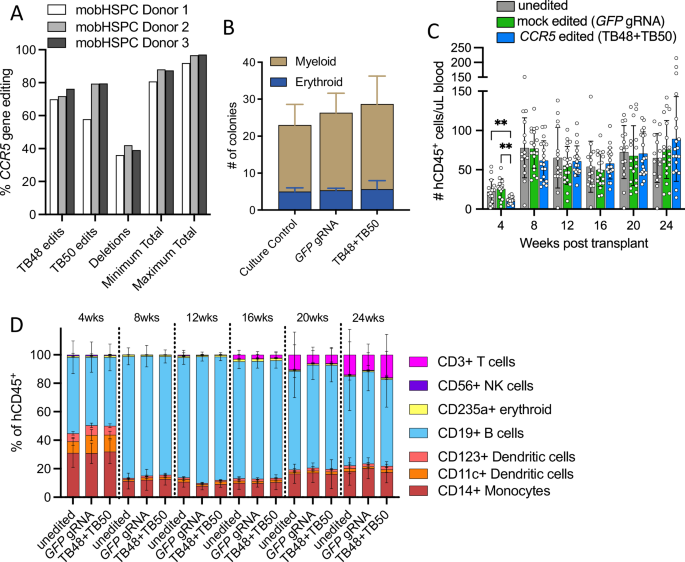 Fig. 4: CCR5 editing in human HSPCs does not significantly alter longitudinal engraftment or hematopoiesis.